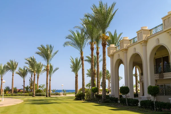Hotel no Egito e palmeiras Imagens De Bancos De Imagens Sem Royalties