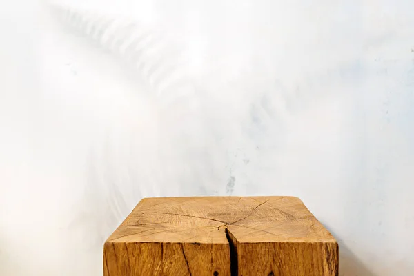 Alçılı duvarda eğreltiotu yaprağı gölgesi olan tahta bir vitrin.