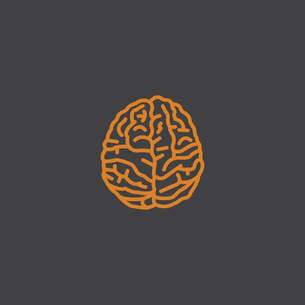 Human Brain Icon — Stock Vector