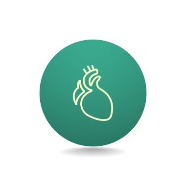 İnsan kalbi organ simgesi