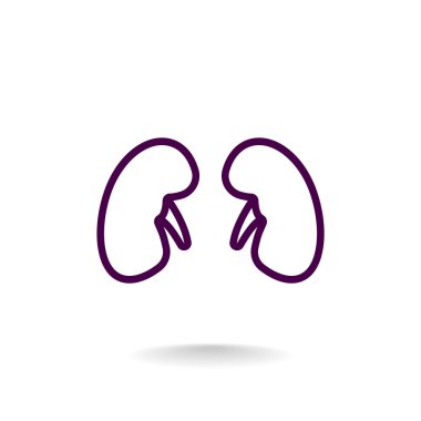 İnsan böbrekler simgesi