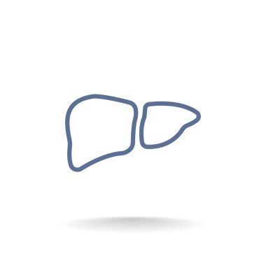 İnsan karaciğer organ simgesi