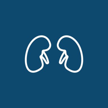 İnsan böbrekler simgesi