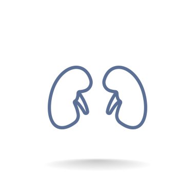 İnsan böbrekler simgesi