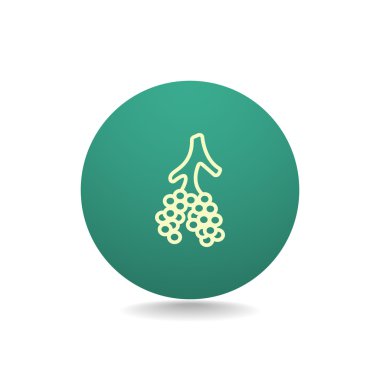 insan alveoller simgesi