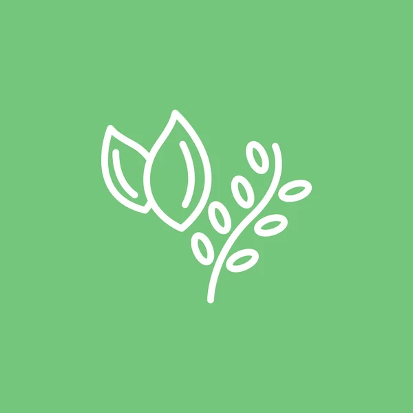 Cooking herbs, plant food icon — Stock Vector