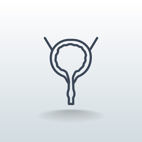 human urinary bladder icon