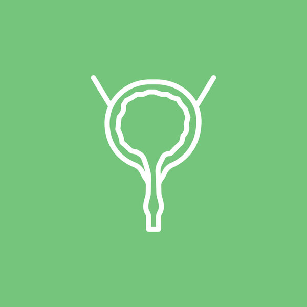 human urinary bladder icon
