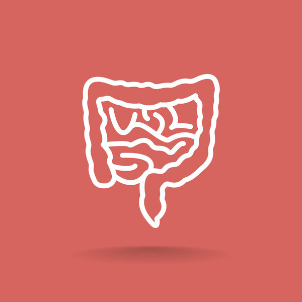 икона кишечника человека
