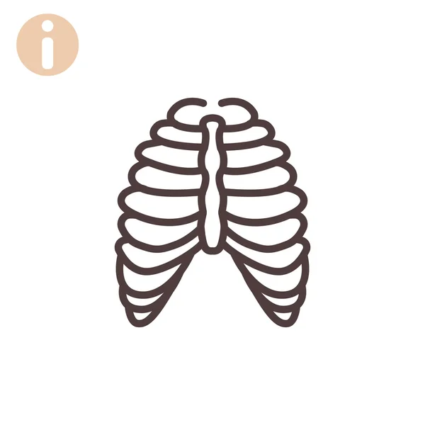 Menselijke borstkas pictogram — Stockvector