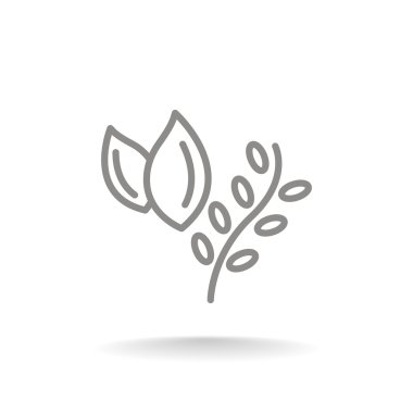 pişirme otlar, bitki gıda simgesi