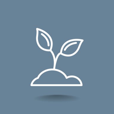 Filiz ile simge yapraklar