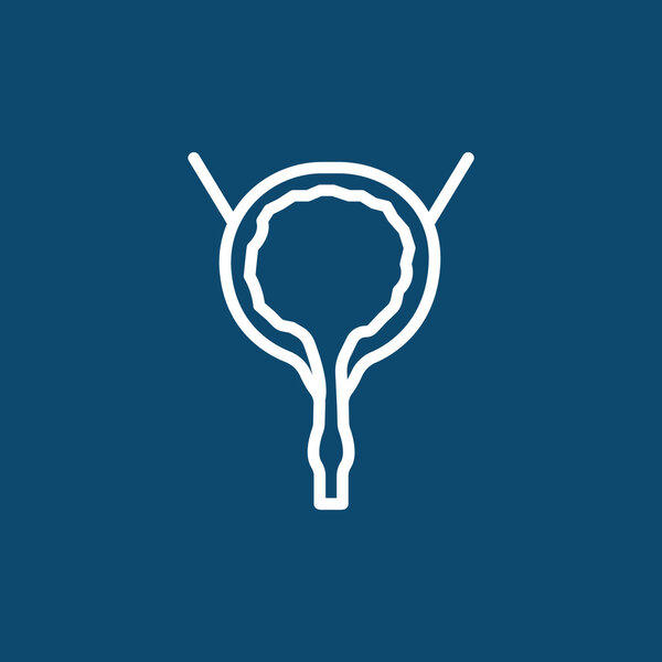 human urinary bladder icon
