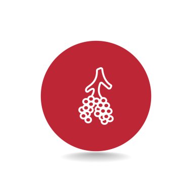 insan alveoller simgesi