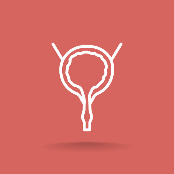human urinary bladder icon
