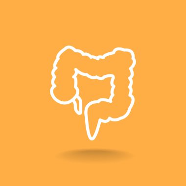 insan kalın bağırsak simgesi