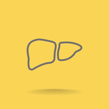 İnsan karaciğer organ simgesi