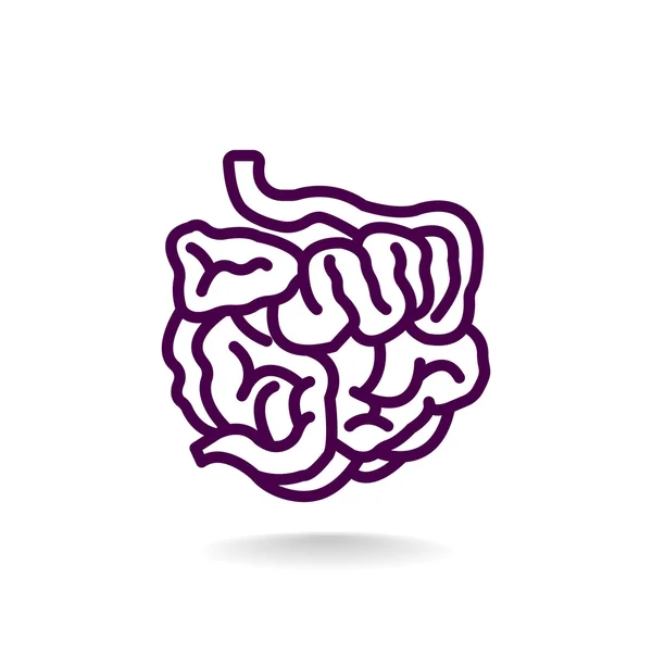 Human small intestines icon — Stock Vector