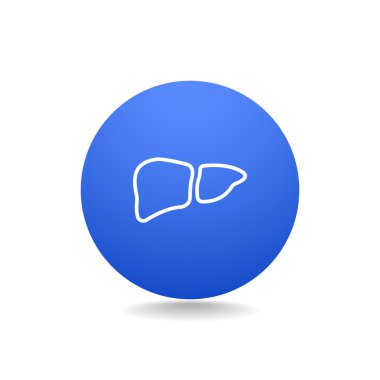 İnsan karaciğer organ simgesi