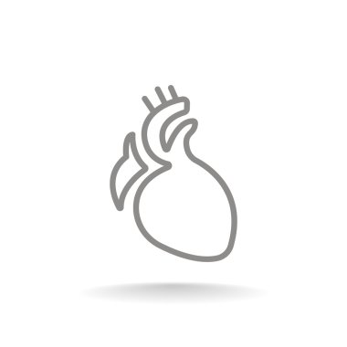 İnsan kalbi organ simgesi
