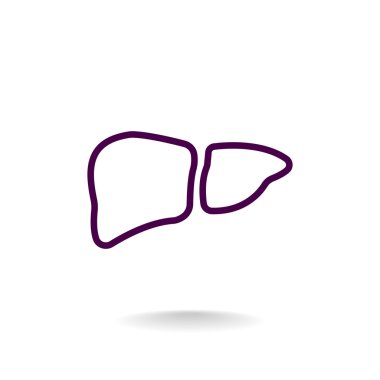 İnsan karaciğer organ simgesi