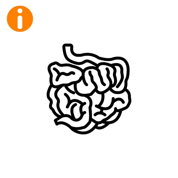 Icono del intestino delgado humano — Vector de stock