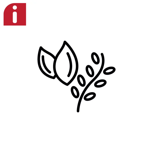 Травы для приготовления пищи, икона растительной пищи — стоковый вектор