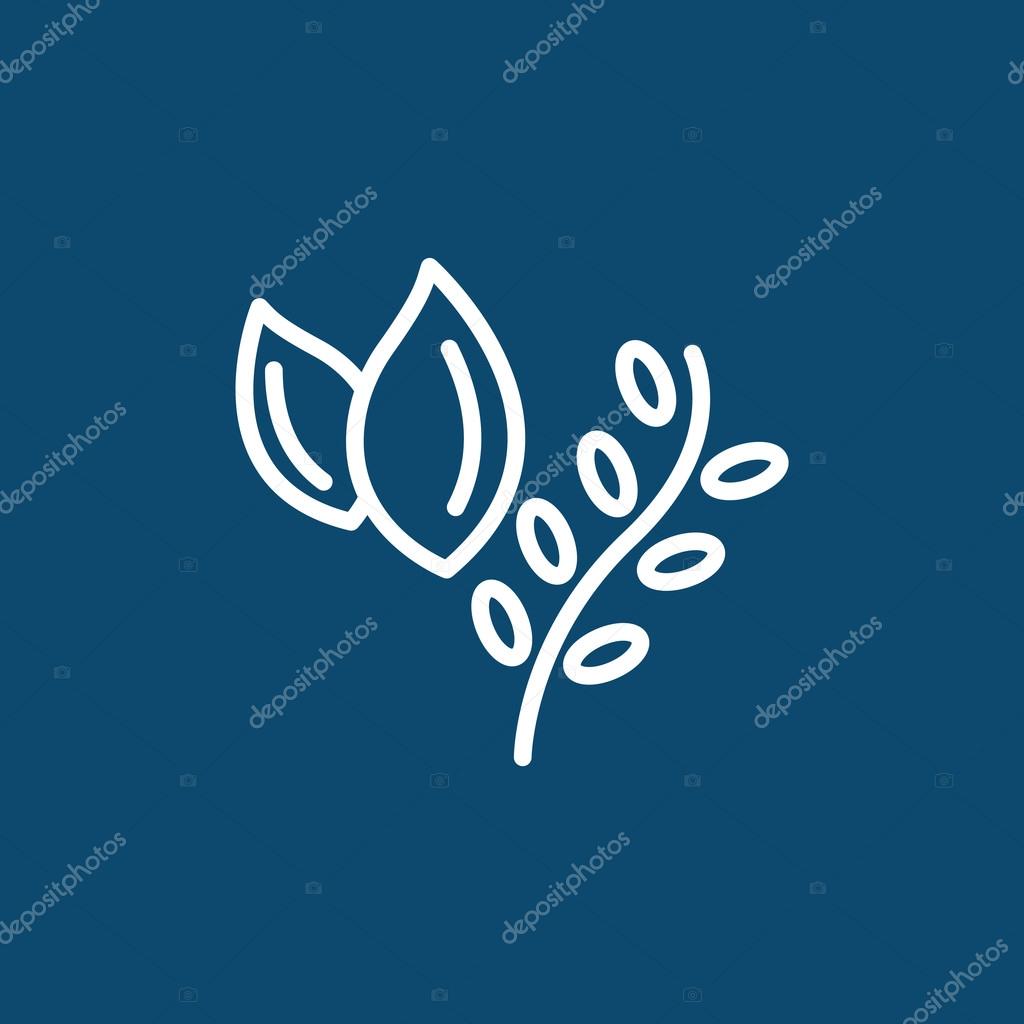 hierbas de cocina, icono de comida planta — Vector de stock © Mr