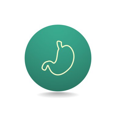 İnsan mide organı simgesi