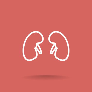 İnsan böbrekler simgesi