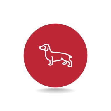 Dachshund köpek simgesi