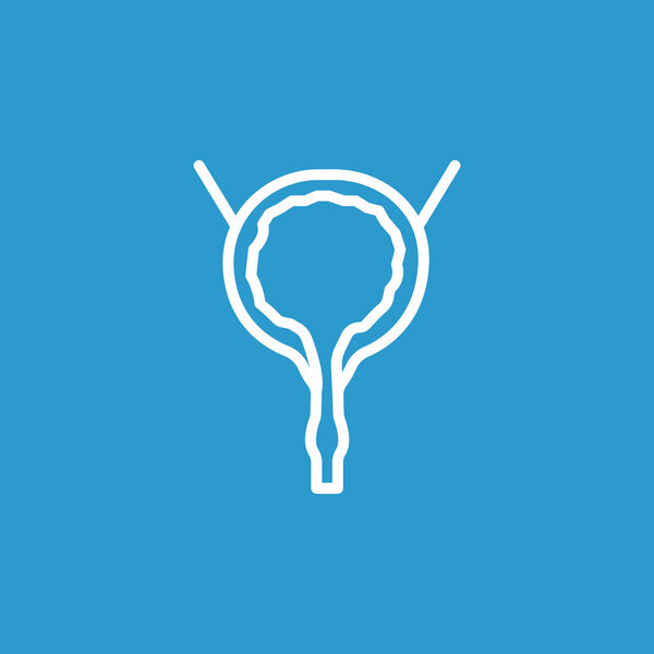 human urinary bladder icon