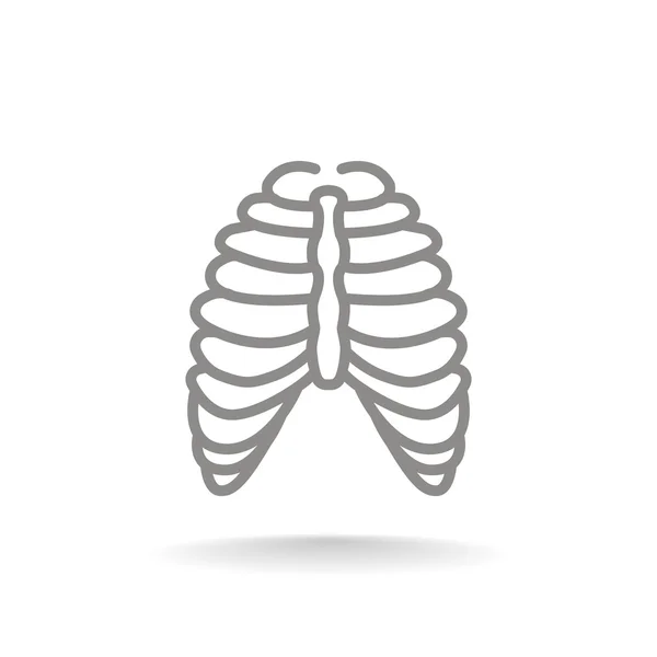 Ícone de tórax humano —  Vetores de Stock