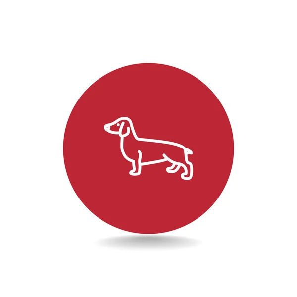 Dachshund Dog icon — Stock Vector