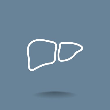 İnsan karaciğer organ simgesi