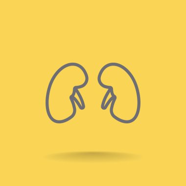 İnsan böbrekler simgesi