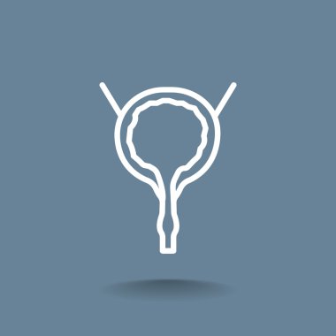 insan idrar kesesi simgesi