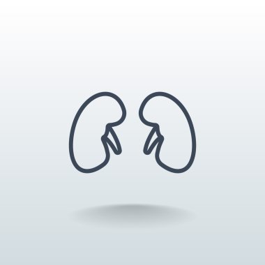 İnsan böbrekler simgesi