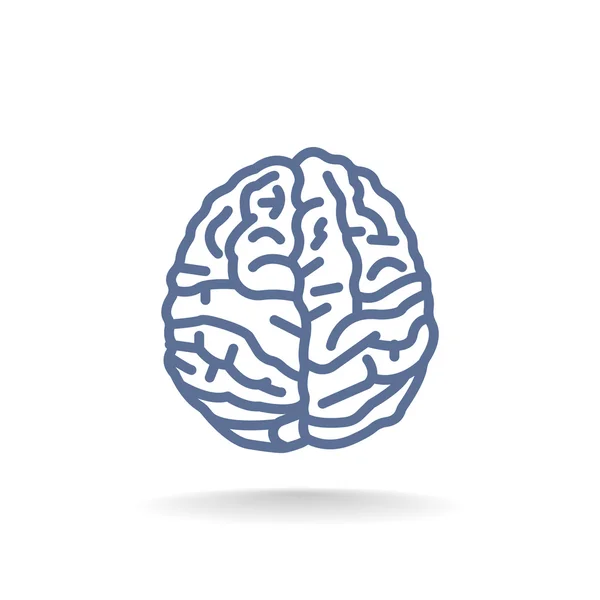 Human Brain Icon — Stock Vector