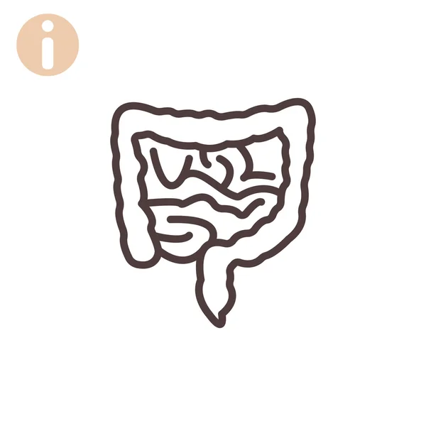 Icono de intestinos humanos — Archivo Imágenes Vectoriales