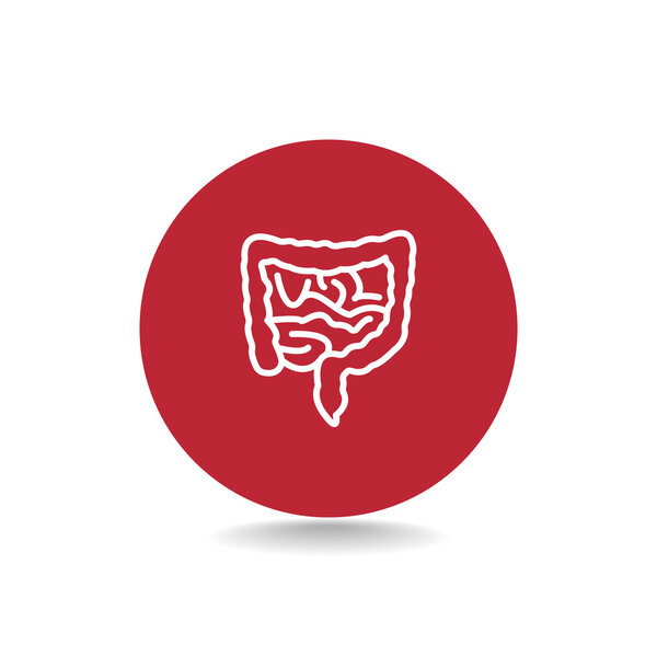 икона кишечника человека
