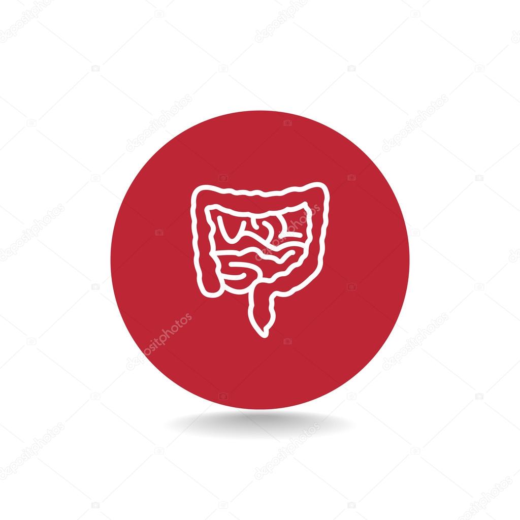 human intestines icon