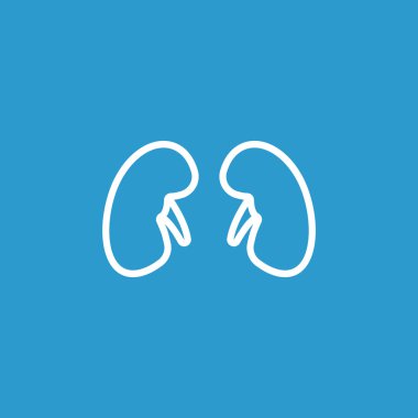 İnsan böbrekler simgesi