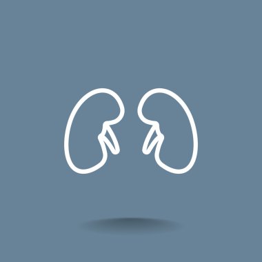 İnsan böbrekler simgesi