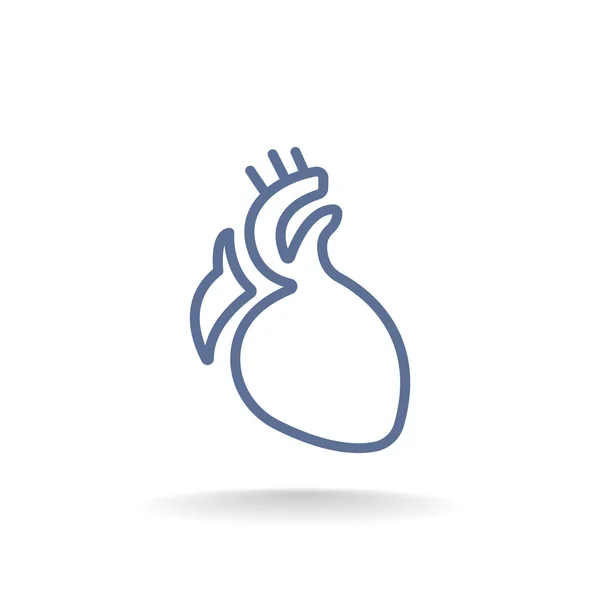 Ikone des menschlichen Herzens — Stockvektor
