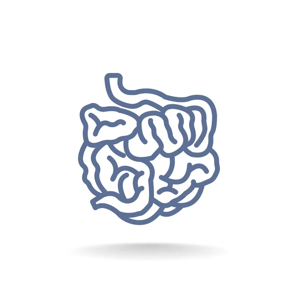 Icône de petits intestins humains — Image vectorielle