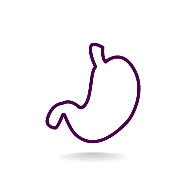 Human stomach organ icon — Stock Vector