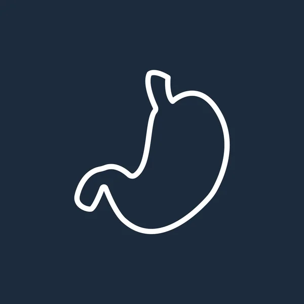 Human stomach organ icon — Stock Vector