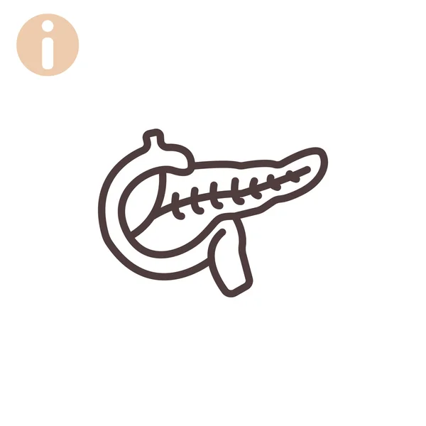 Menselijke alvleesklier orgel pictogram — Stockvector