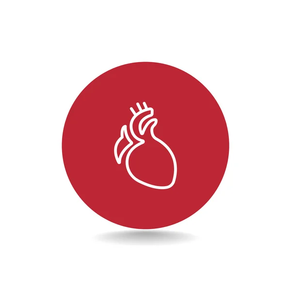 Human heart organ icon — Stock Vector